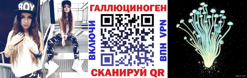 Галлюциногенные грибы прущие грибы  Олонец 